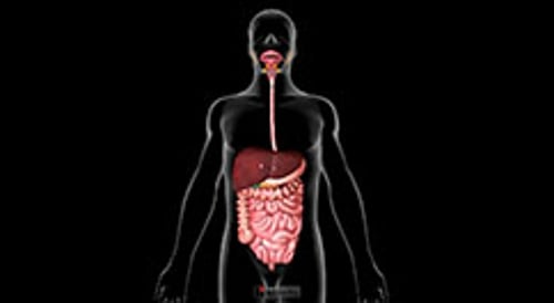 biodigital-male-digestive-new-cv-sized_pt